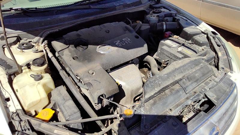 2002-2004 Nissan Altima Trunk/Decklid/Hatch/Tailgate