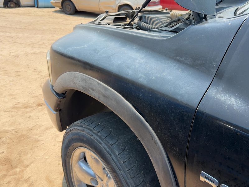 2002-2005 Dodge Ram Pickup 1500 Series Fender LH