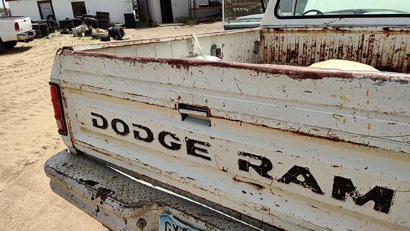 1981-1993 Dodge Pickup 250 Series Trunk/Decklid/Hatch/Tailgate