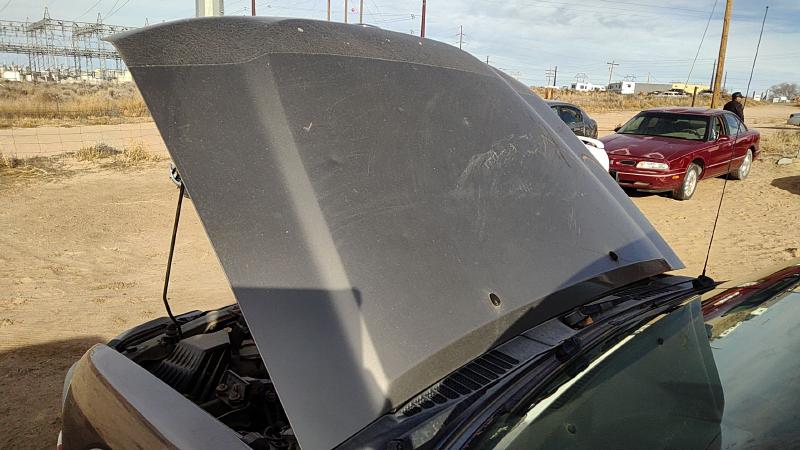 2002-2004 Nissan Xterra Hood