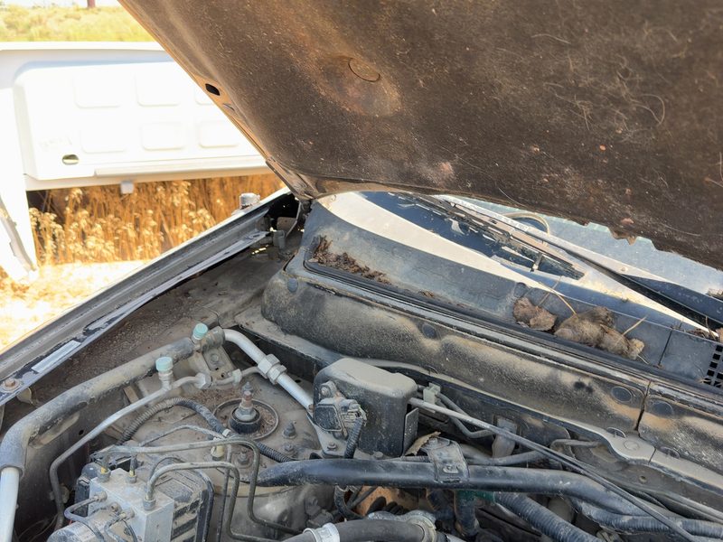 2001-2011 Honda Crv Hood Hinge RH