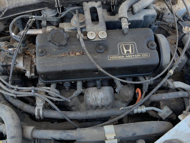 1988-1989 Honda Accord Cylinder Head