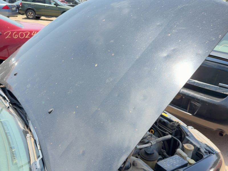 1995-1999 Nissan Maxima Hood