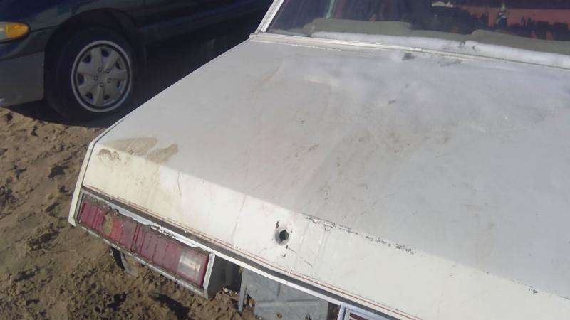 1978-1980 Regal (also See Somerset 85-87) Trunk/Decklid/Hatch/Tailgate