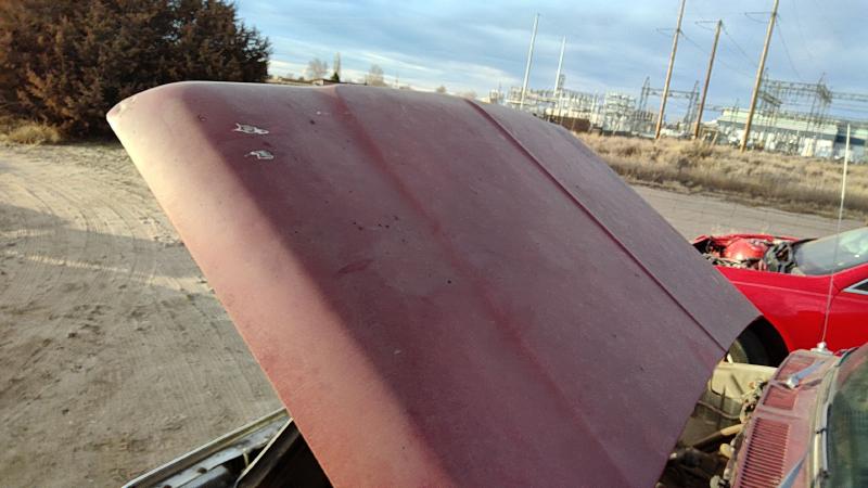 1973-1979 Ford Pickup F150 Series Hood