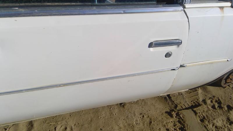 1978-1980 Regal (also See Somerset 85-87) Front Door LH