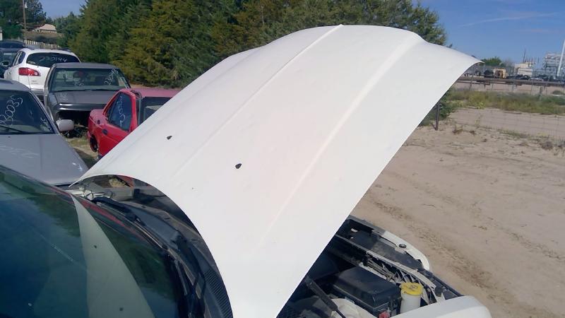 2005-2010 Chrysler 300 Hood