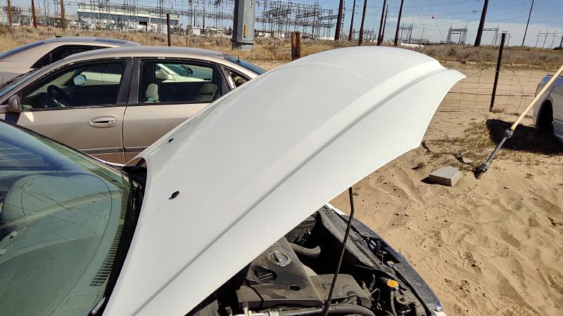 2002-2004 Nissan Altima Hood