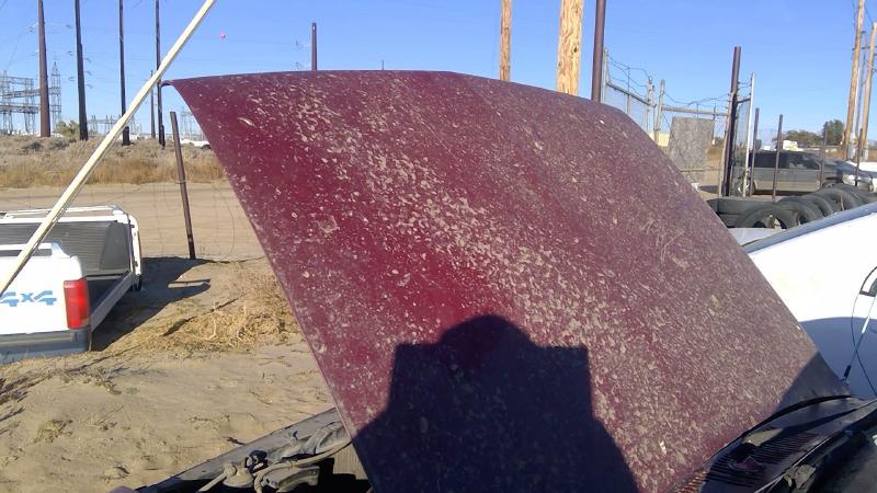 1981-1987 Isuzu Pickup Hood