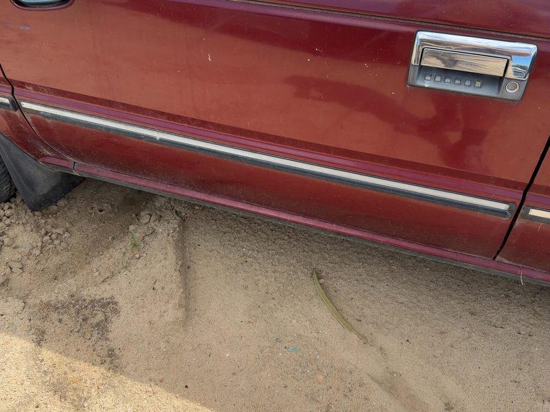 1987 Nissan Maxima Front Door Moulding LH