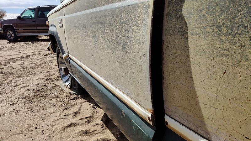 1979-1991 Jeep Grand Wagoneer Front Door LH
