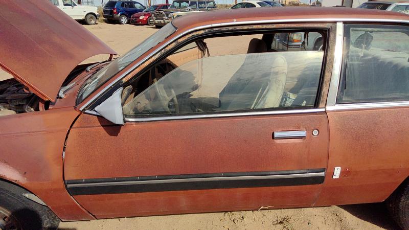 1982-1989 Pontiac Sunbird Front Door LH