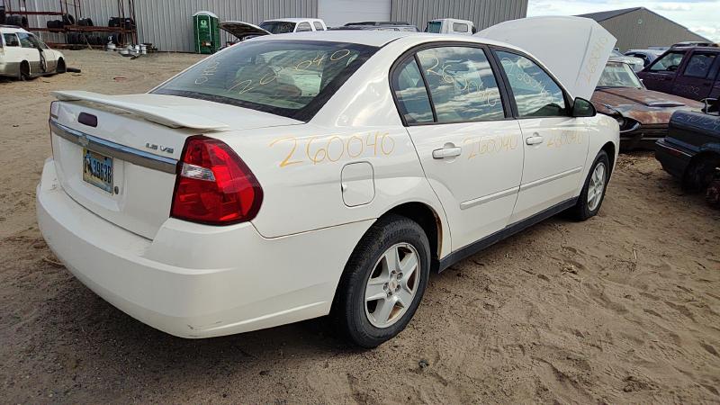 2004-2008 Malibu Hood