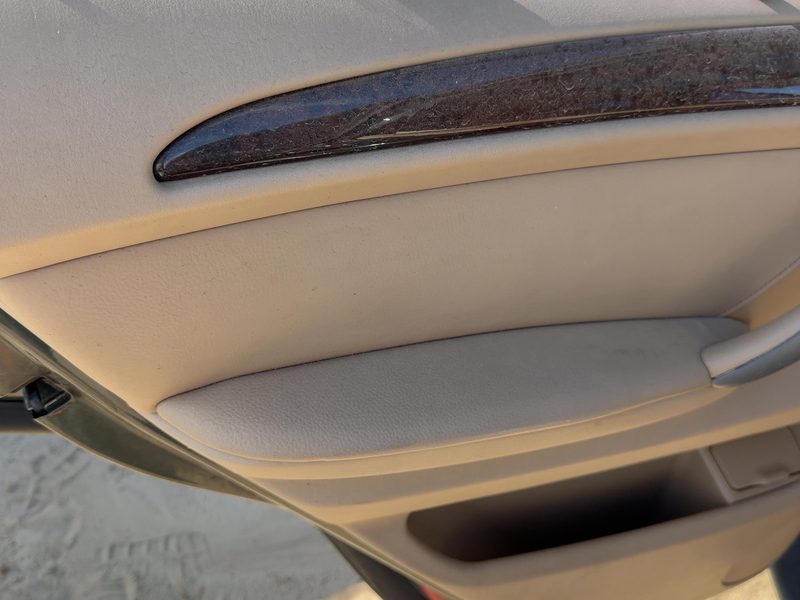 2003-2006 BMW X5 Rear Door Trim Panel LH