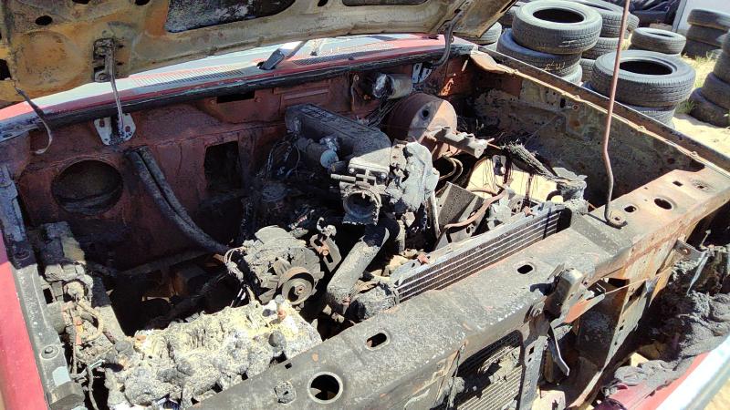 1984-1990 Bronco II (small) Trunk/Decklid/Hatch/Tailgate