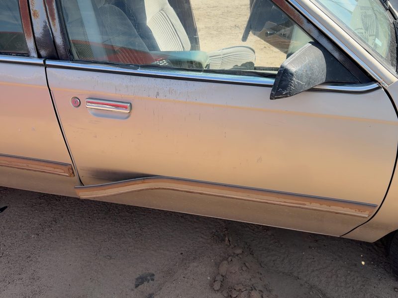 1990-1996 Buick Century Front Door RH