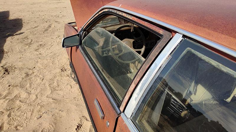 1982-1989 Pontiac Sunbird Front Door LH