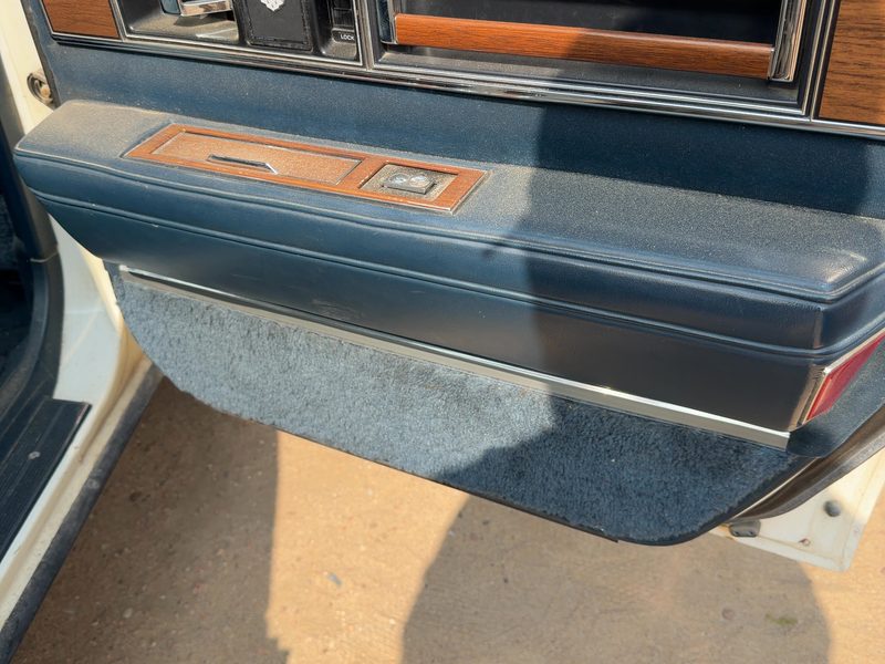 1986 Oldsmobile Ninety-eight (80 & Up) Rear Door Trim Panel RH