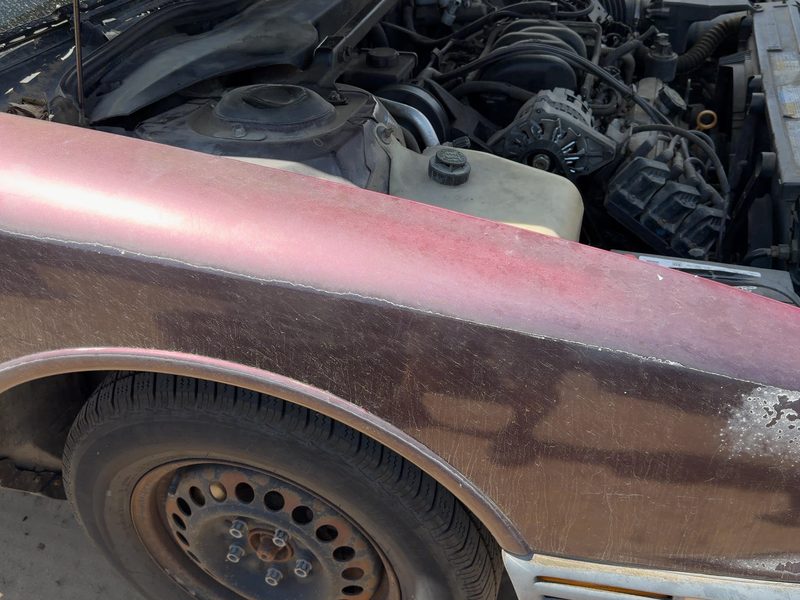 1992-1998 Oldsmobile Eighty-eight (80 & Up) Fender RH