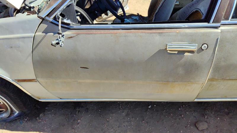 1982-1989 Firenza Front Door LH