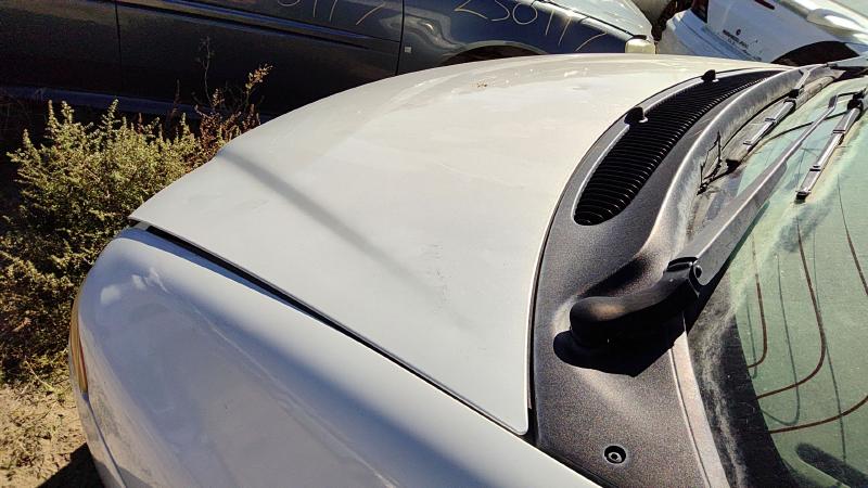 1996-2000 Chrysler Town & Country Hood