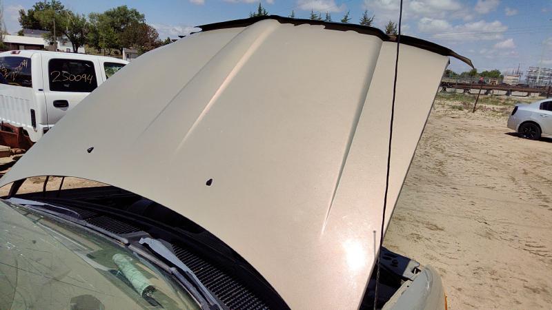 1998-2003 Lincoln Navigator Hood
