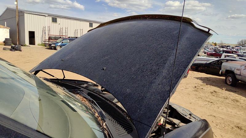 1997-2004 Ford Pickup F150 Series Hood