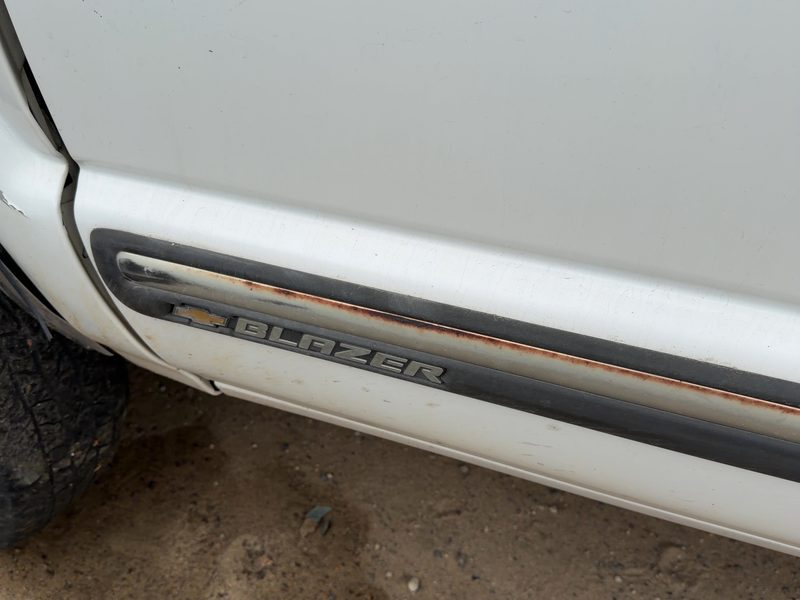 1998-2001 Blazer S10/jimmy S15 Front Door Moulding LH