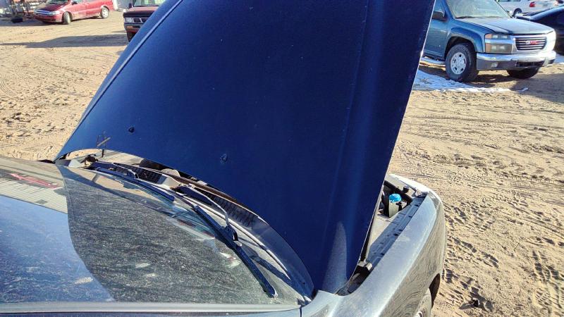 2001-2005 Hyundai Xg Series Hood