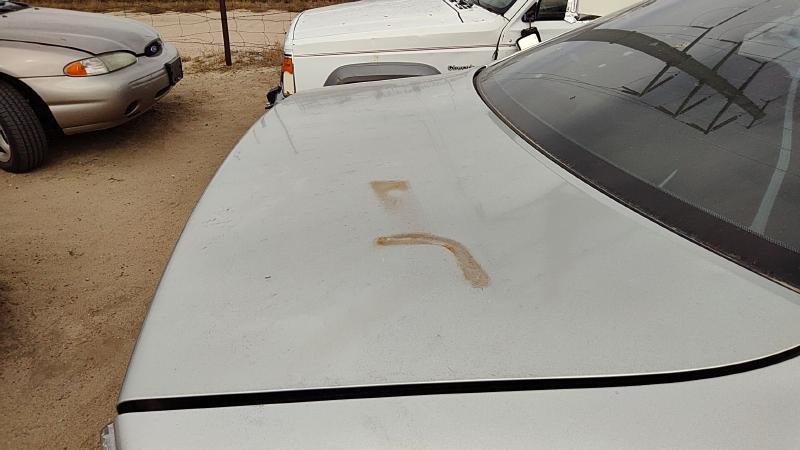 2002-2006 Toyota Camry Trunk/Decklid/Hatch/Tailgate