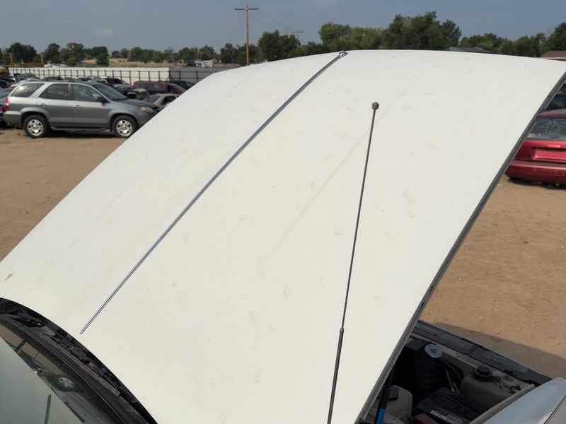1985-1991 Oldsmobile Ninety-eight (80 & Up) Hood