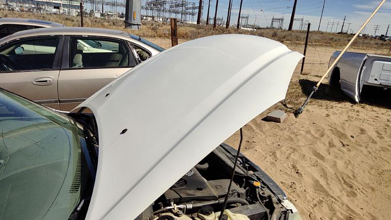 2002-2004 Nissan Altima Hood