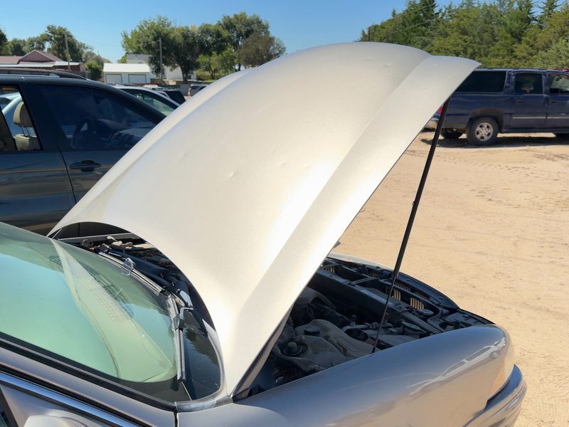 2000-2005 Buick Lesabre (80 & Up) Hood