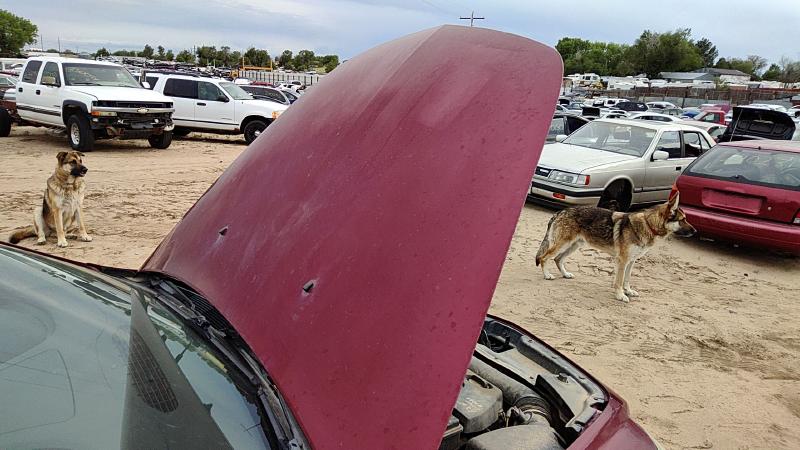 2008-2012 Malibu Hood