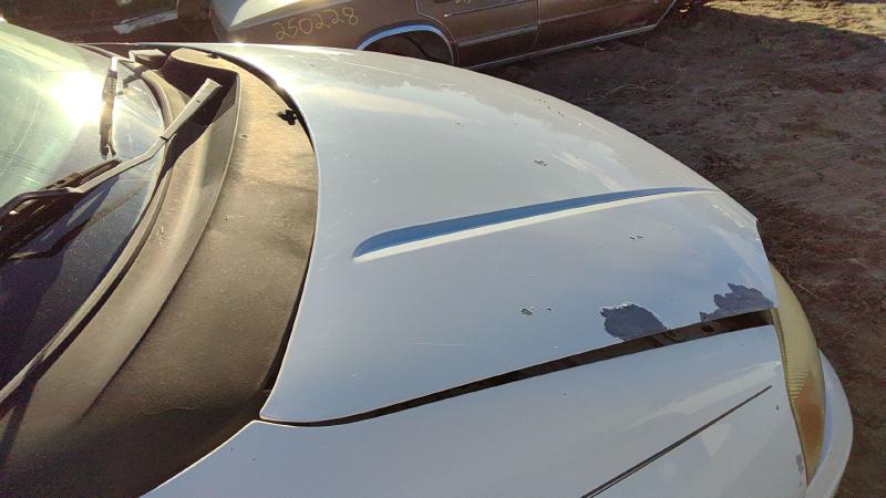 2004-2007 Ford Freestar Hood