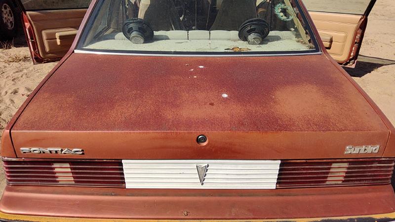1982-1989 Pontiac Sunbird Trunk/Decklid/Hatch/Tailgate