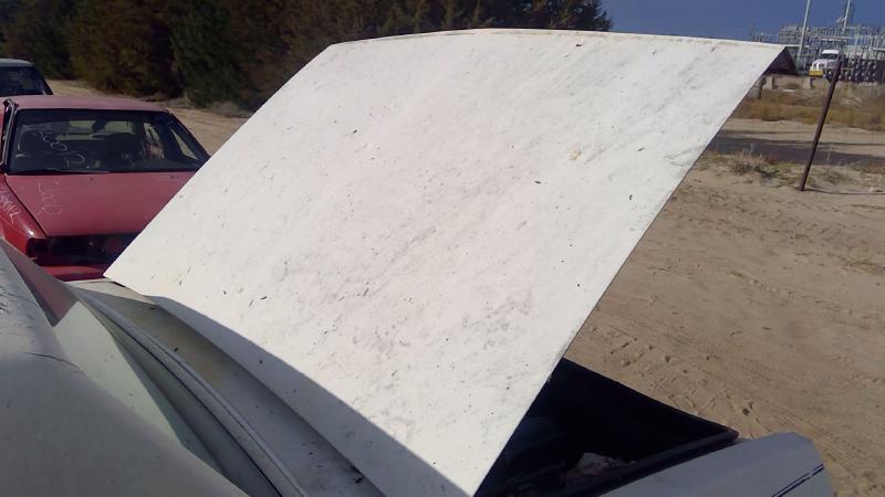 1980-1990 Chevrolet Caprice (80 & Up) Trunk/Decklid/Hatch/Tailgate