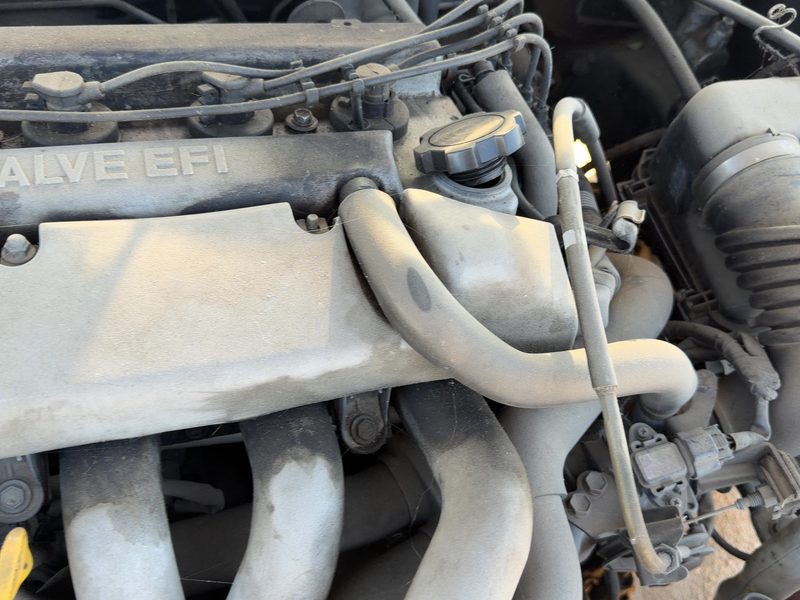 1999 Toyota Corolla (also See FX 87-88) Engine Cover