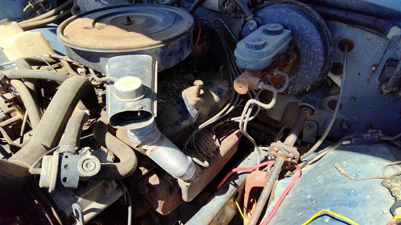 1985-1989 Dodge Pickup 150 Series Cylinder Head