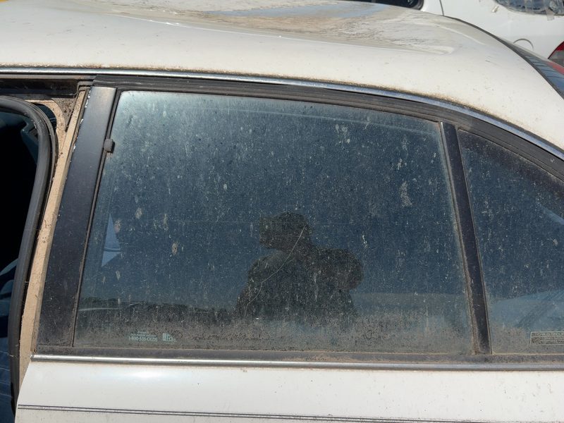 1992-1999 Oldsmobile Eighty-eight (80 & Up) Rear Door Glass/Window LH
