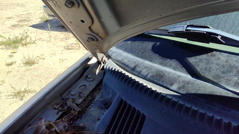 1999-2005 Cavalier Hood Hinge RH