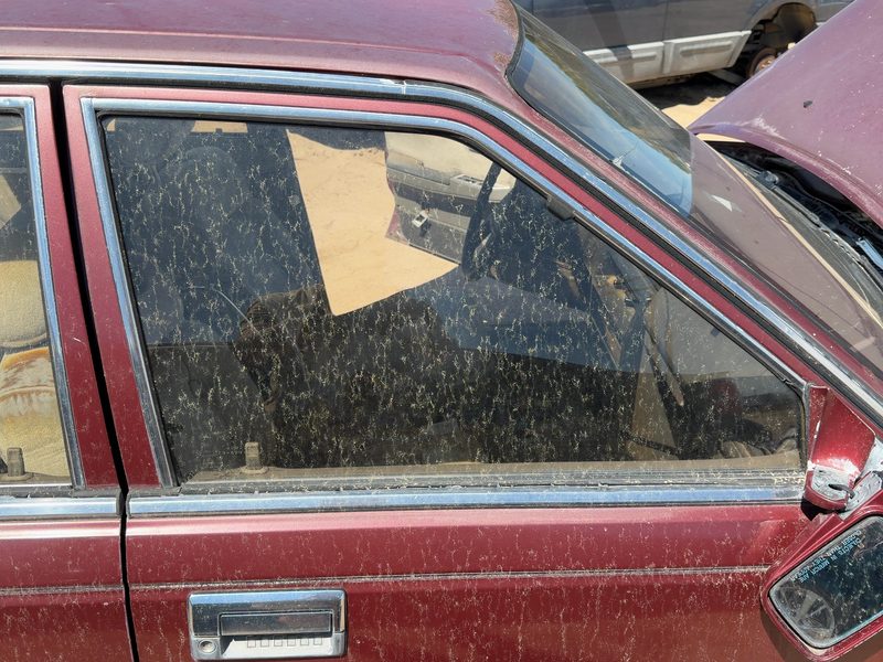 1985-1988 Nissan Maxima Front Door Glass/Window RH