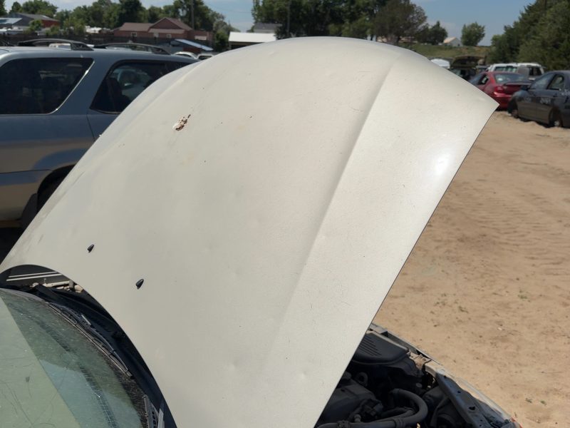 1999-2000 Mazda Protege Hood