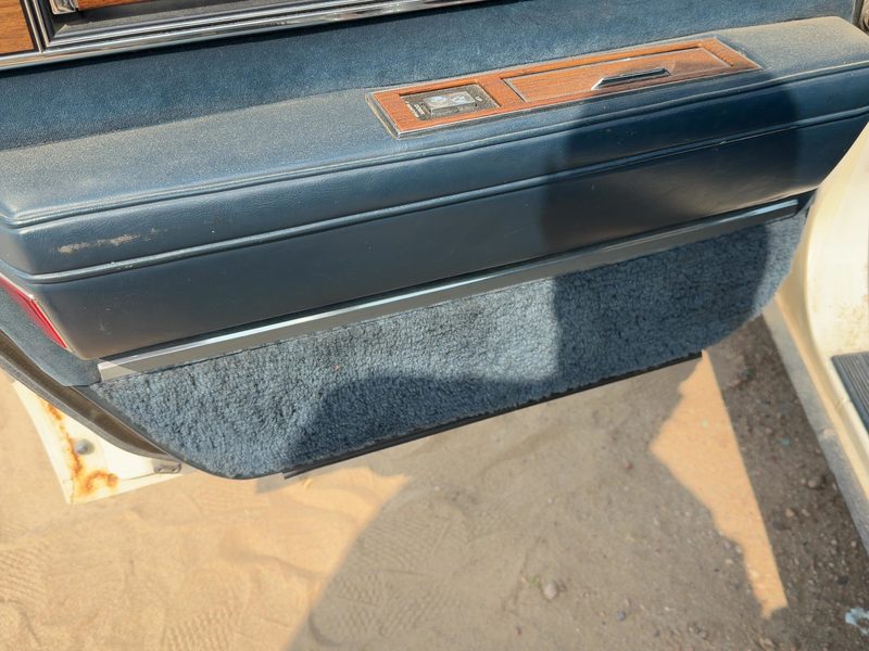 1986 Oldsmobile Ninety-eight (80 & Up) Rear Door Trim Panel LH