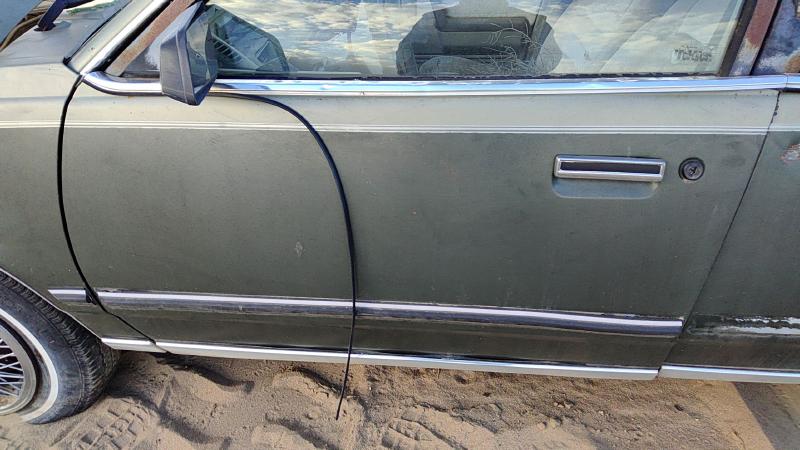1982-1989 Pontiac 6000 Front Door LH