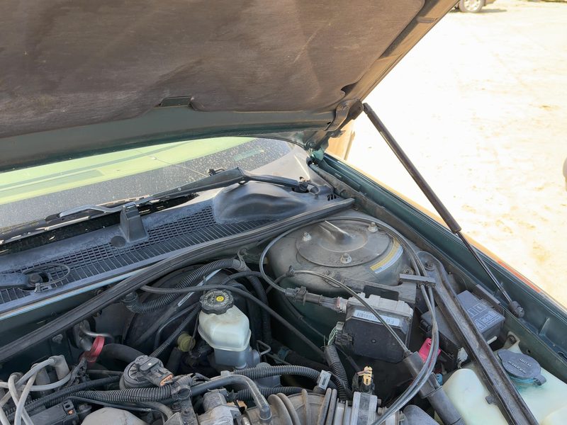 1999-2001 Lumina (also See Lumvan) Hood Hinge RH