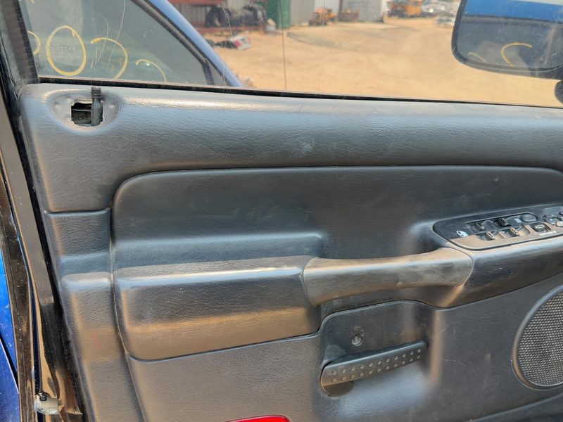 2002 Dodge Ram Pickup 1500 Series Front Door Trim Panel LH