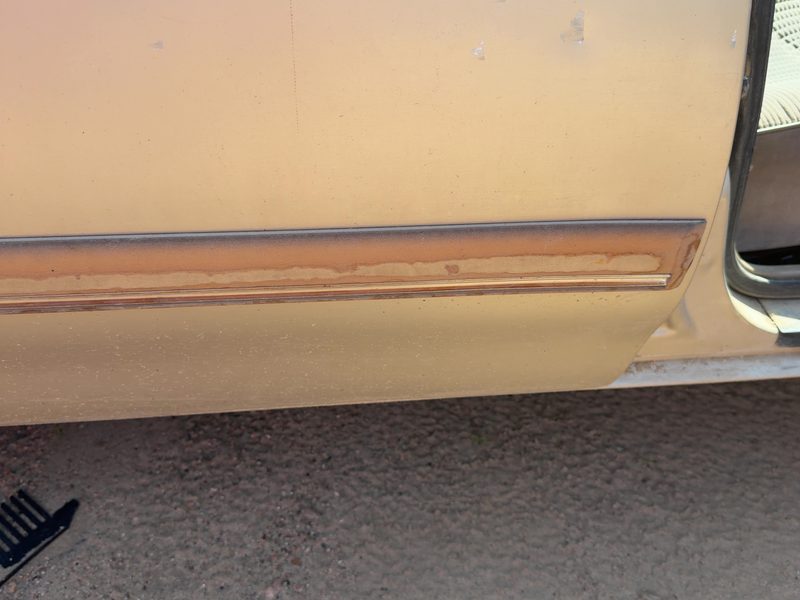 1993 Buick Century Rear Door Moulding RH
