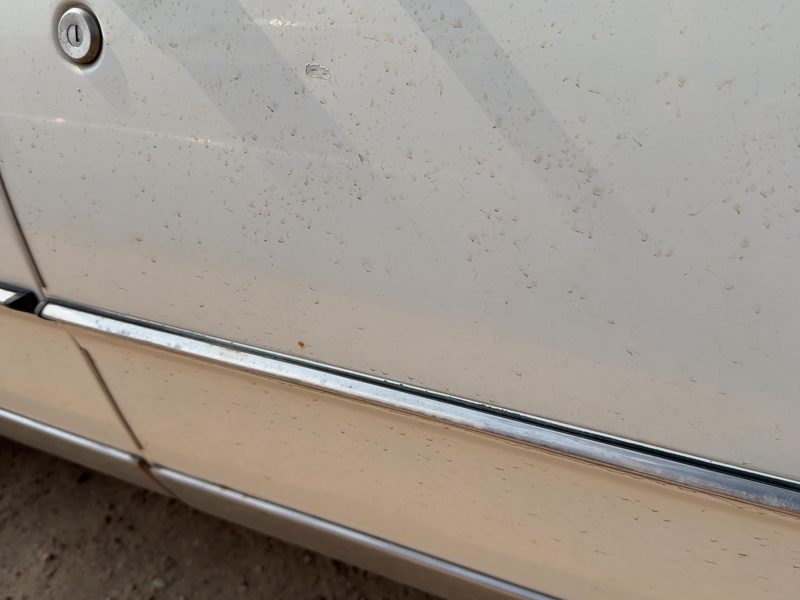 1986 Oldsmobile Ninety-eight (80 & Up) Front Door Moulding RH