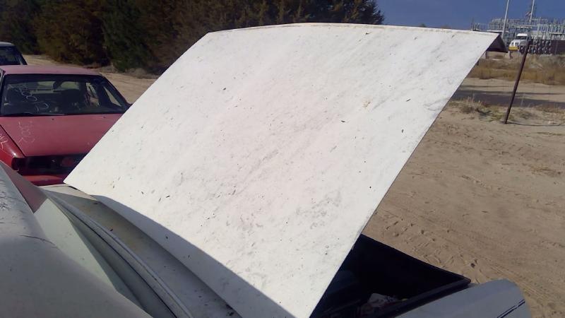 1980-1990 Chevrolet Caprice (80 & Up) Trunk/Decklid/Hatch/Tailgate